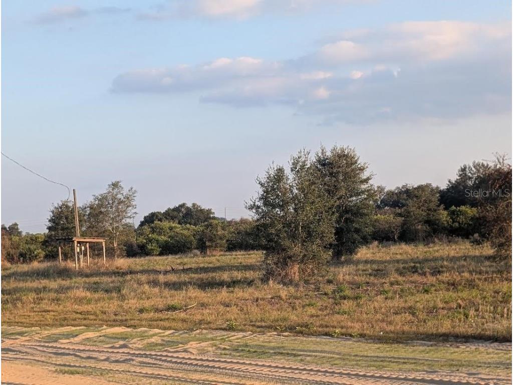 4381 Mammoth Grove Road Lake Wales FL 33898 TB8448928 image8