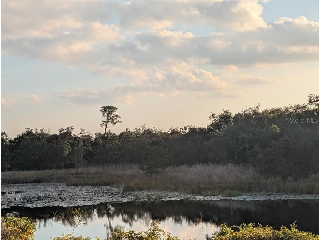 4381 Mammoth Grove Road Lake Wales FL 33898 TB8448928 image9