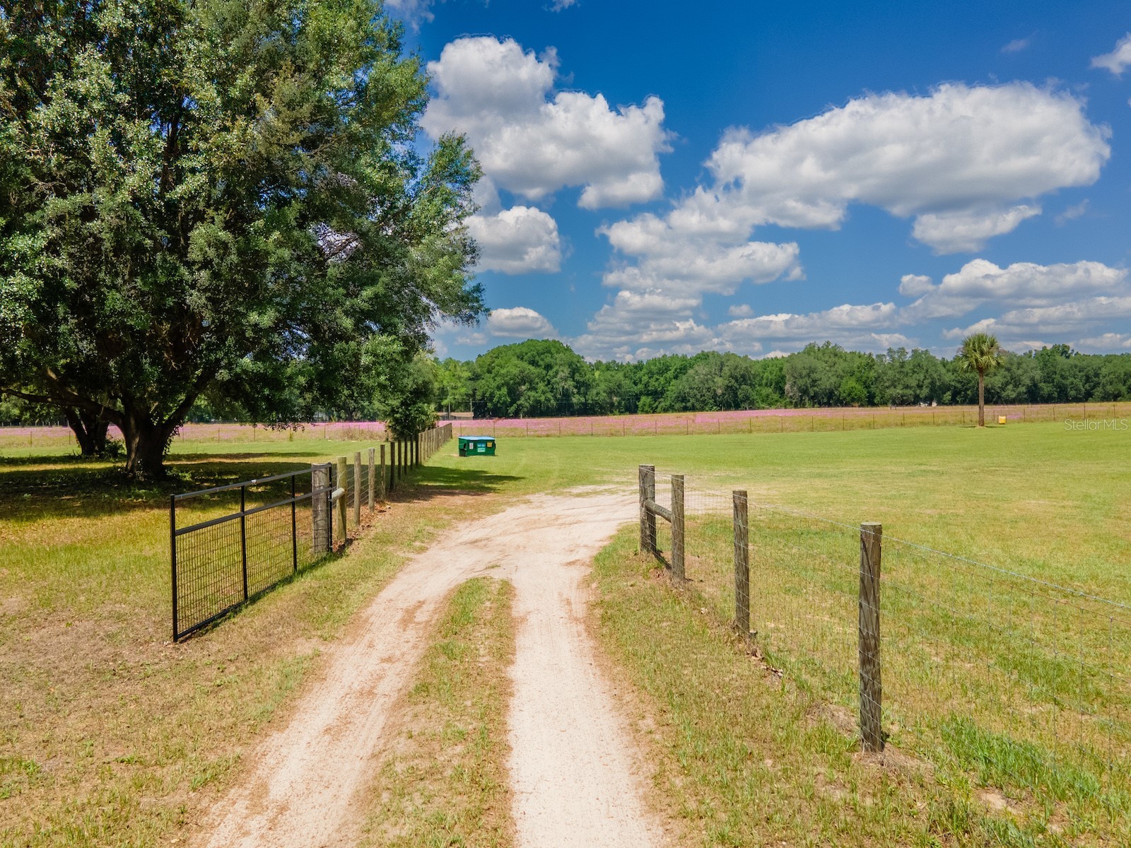 4381 NE 105th Place Anthony FL 32617 OM724638 image3