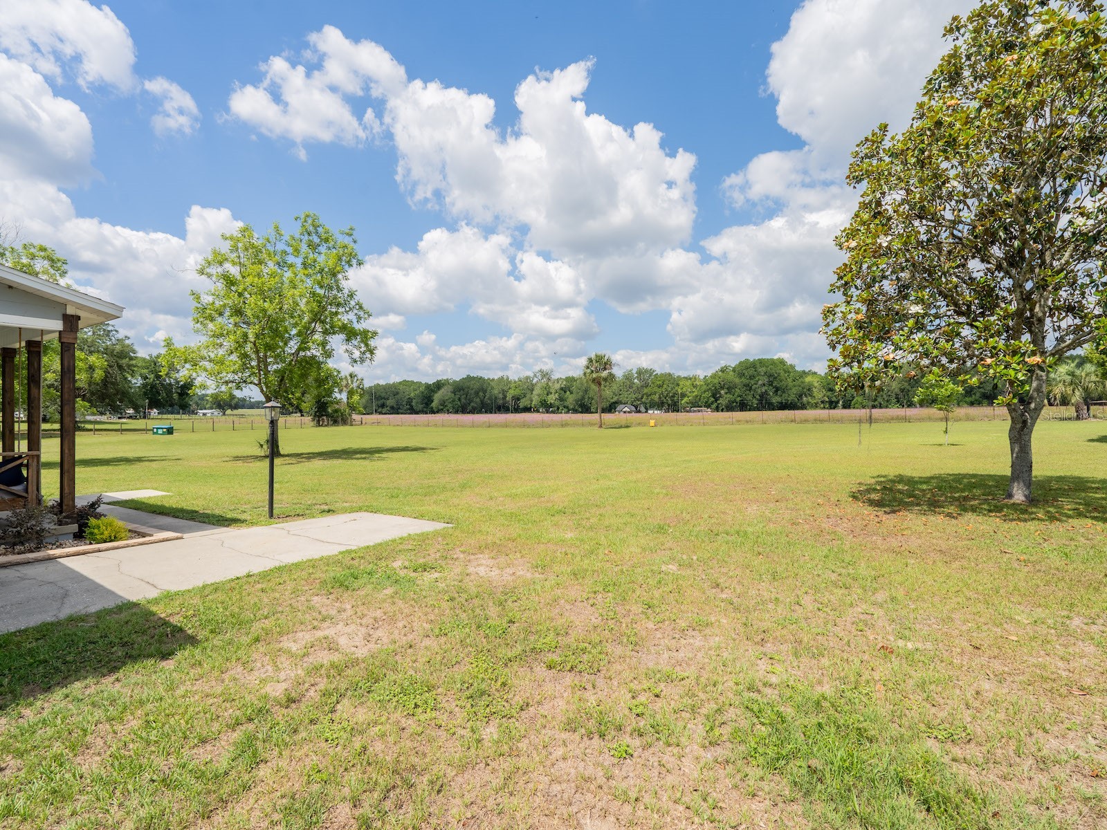 4381 NE 105th Place Anthony FL 32617 OM724638 image38