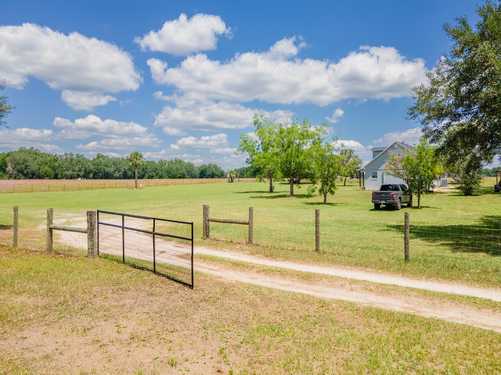 4381 NE 105th Place Anthony FL 32617 OM724638 image4