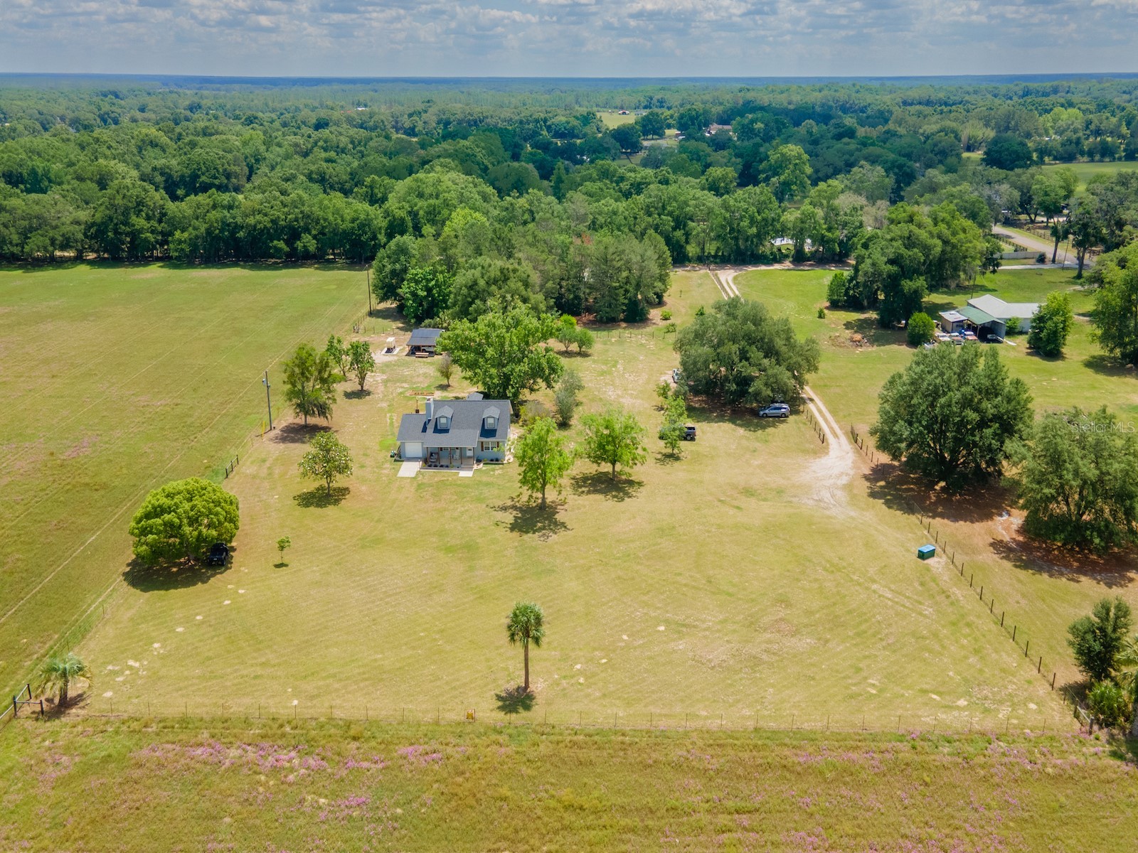 4381 NE 105th Place Anthony FL 32617 OM724638 image44