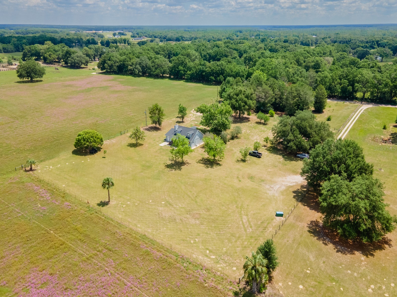 4381 NE 105th Place Anthony FL 32617 OM724638 image45