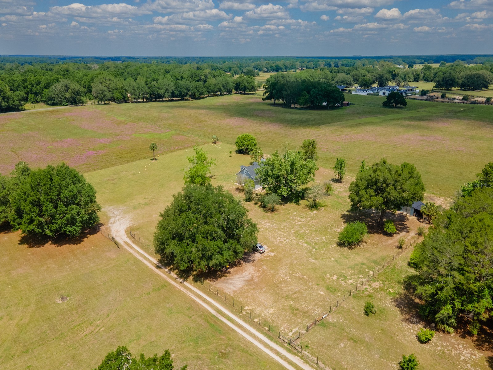 4381 NE 105th Place Anthony FL 32617 OM724638 image46