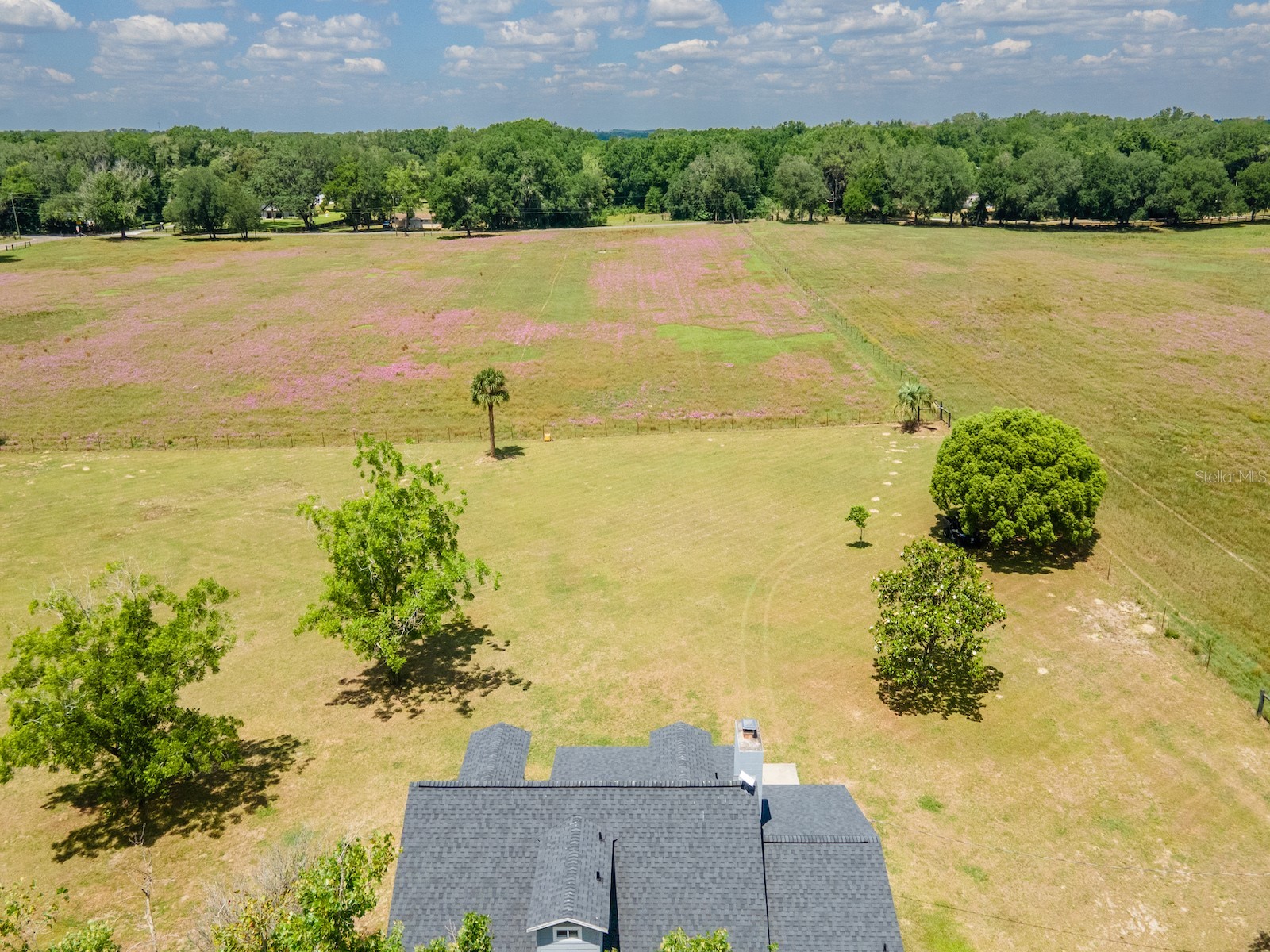 4381 NE 105th Place Anthony FL 32617 OM724638 image49