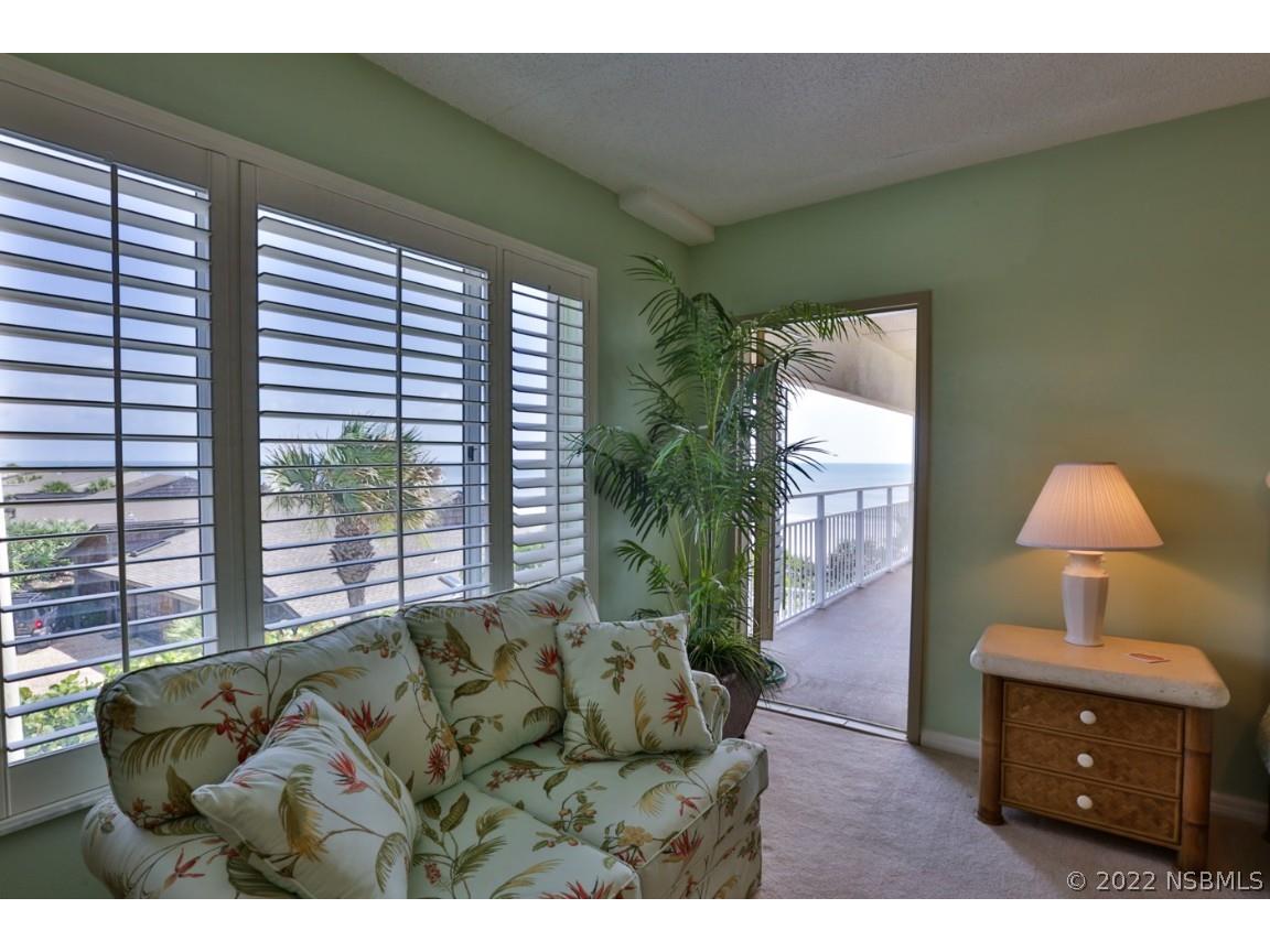 4381 S Atlantic Avenue #101 New Smyrna Beach FL 32169 NS1070542 image17