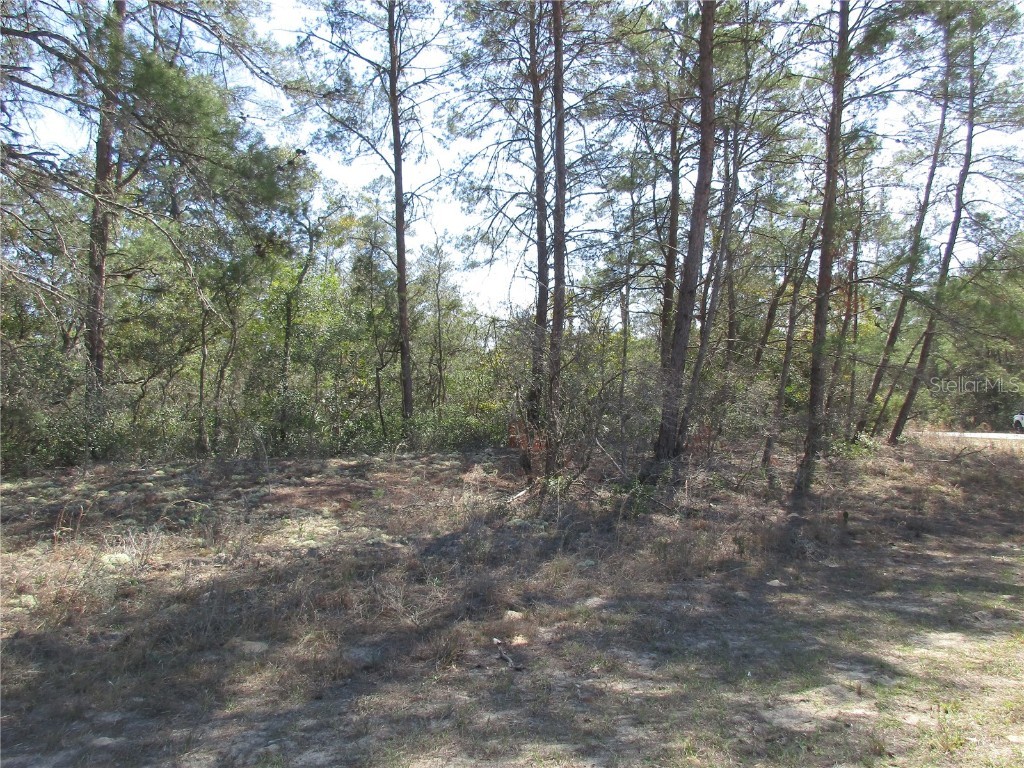 4381 W Malaluka Circle Citrus Springs FL 34433 TB8357833 image1
