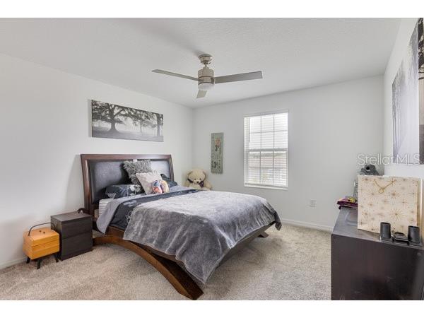 4382 Finch Lane Kissimmee FL 34746 O6389699 image34