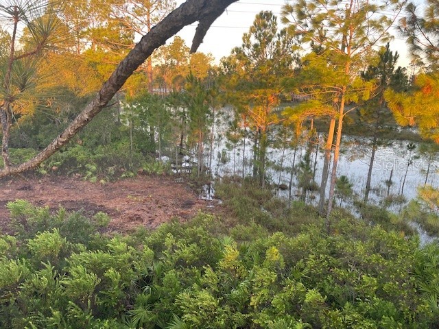 43820 Redlands Drive Deland FL 32720 S5153233 image1