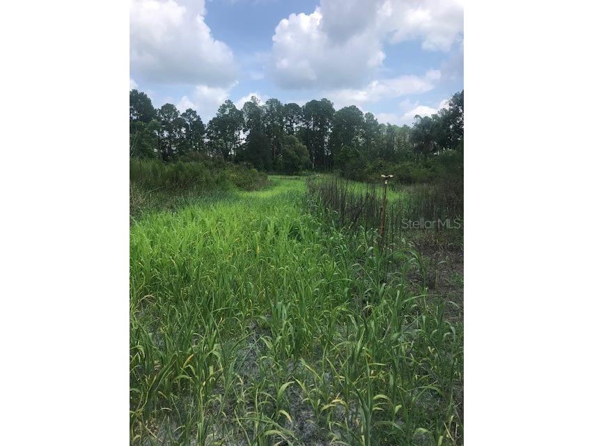43820 Redlands Drive Deland FL 32720 S5153233 image21