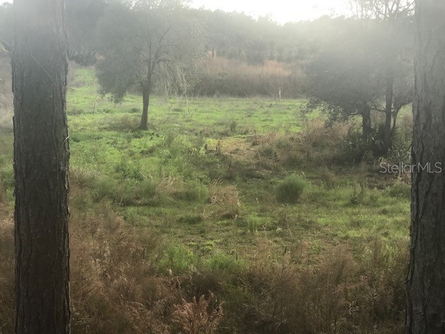 43820 Redlands Drive Deland FL 32720 S5153233 image24