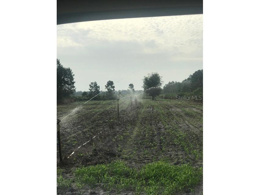 43820 Redlands Drive Deland FL 32720 S5153233 image28