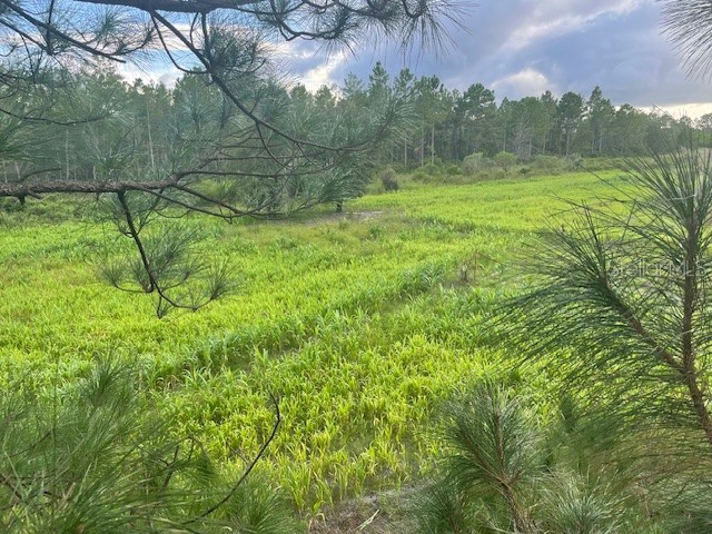 43820 Redlands Drive Deland FL 32720 S5153233 image3
