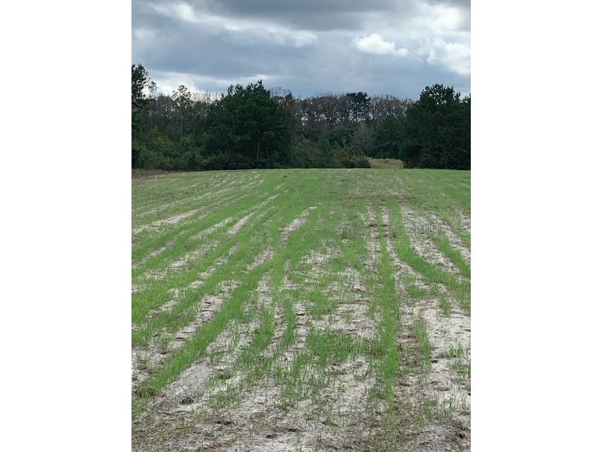 43820 Redlands Drive Deland FL 32720 S5153233 image30