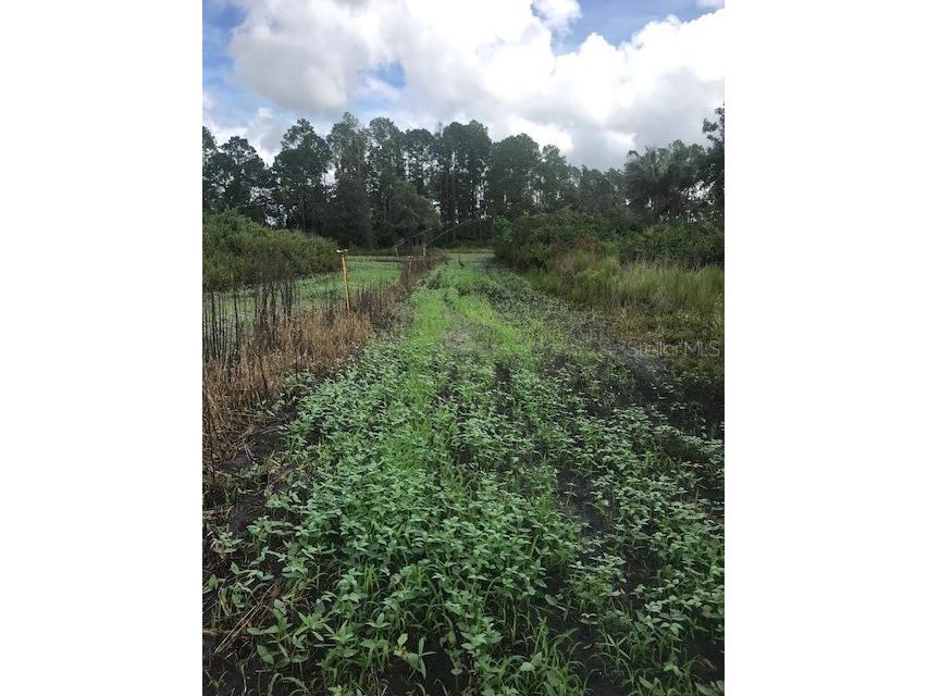 43820 Redlands Drive Deland FL 32720 S5153233 image34