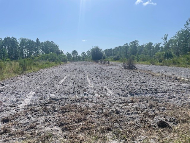 43820 Redlands Drive Deland FL 32720 S5153233 image36