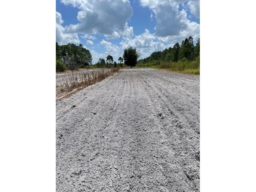 43820 Redlands Drive Deland FL 32720 S5153233 image38