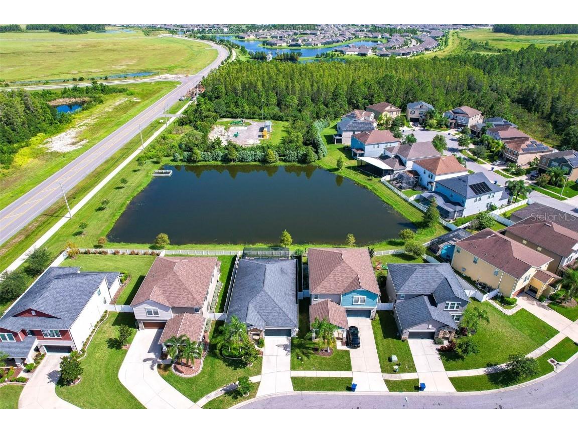 4383 Mount Bandon Drive Land O Lakes FL 34638 T3468076 image1