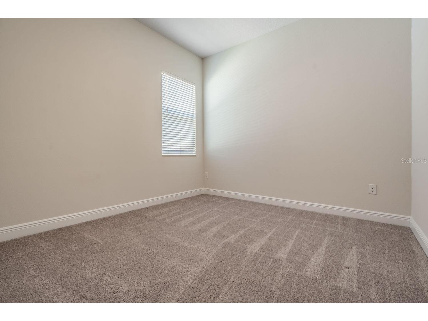 4384 Broad Porch Run Land O Lakes FL 34638 W7885704 image17
