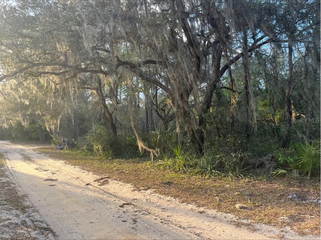 43848 Jessie Avenue W Deland FL 32720 O6096553 image1