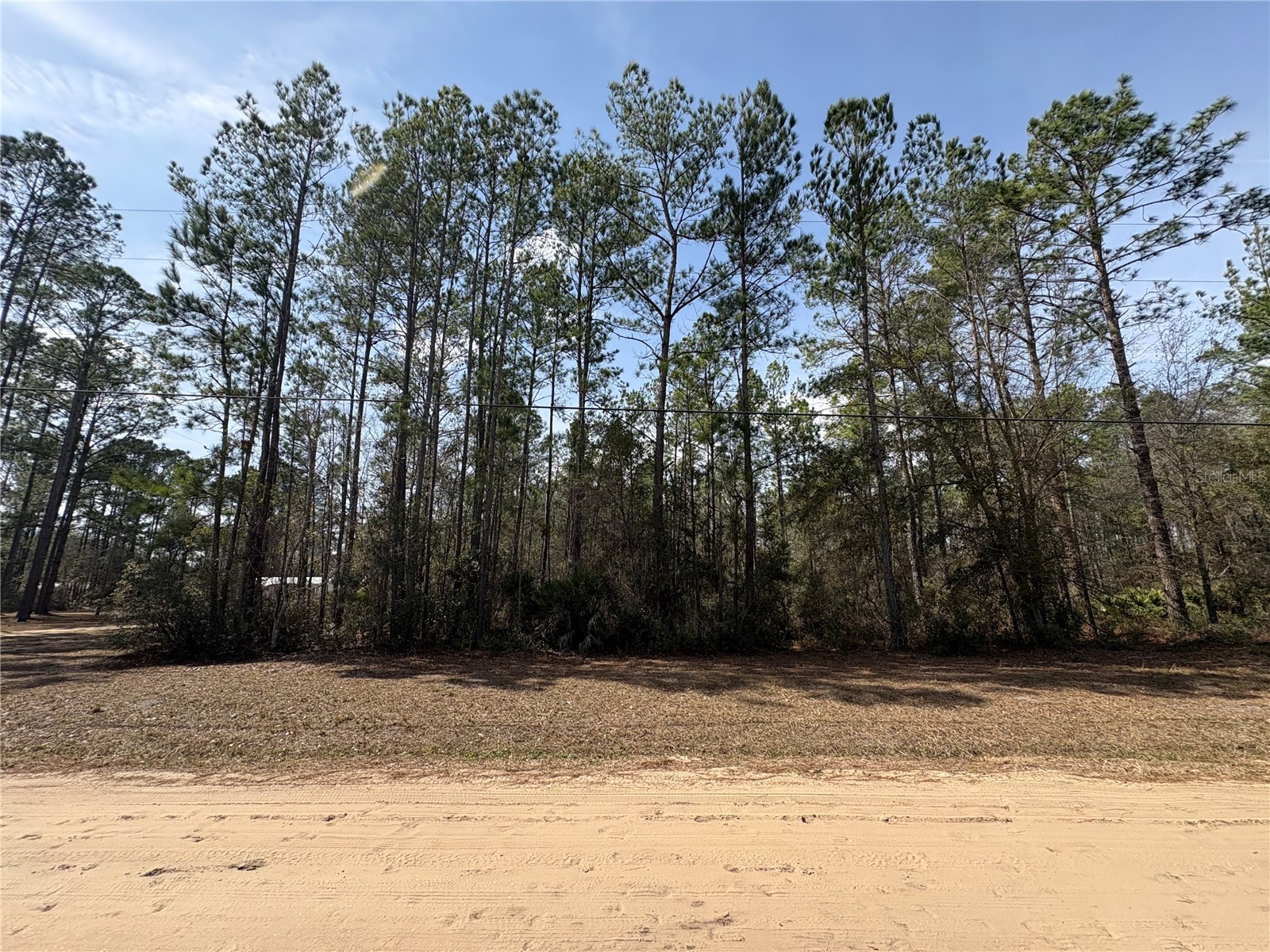 4385 Bondarenko Road Keystone Heights FL 32656 FC316379 image1