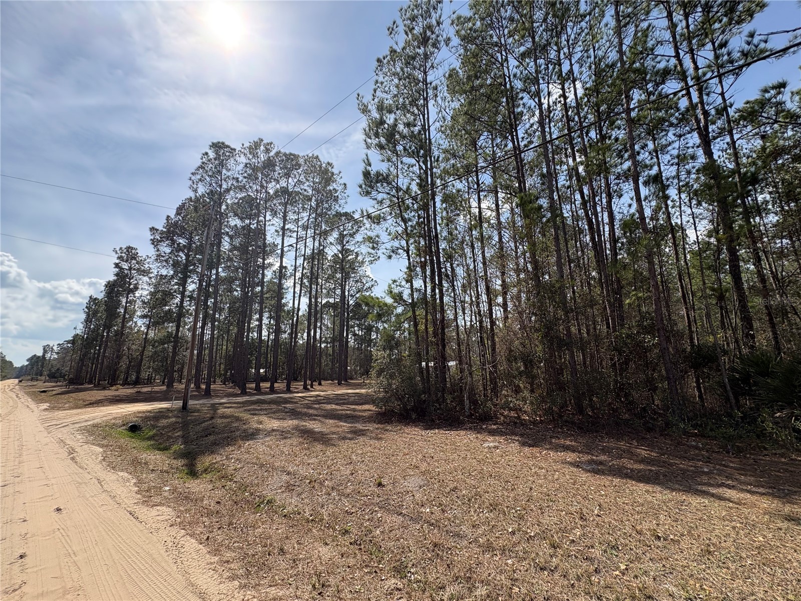 4385 Bondarenko Road Keystone Heights FL 32656 FC316379 image2