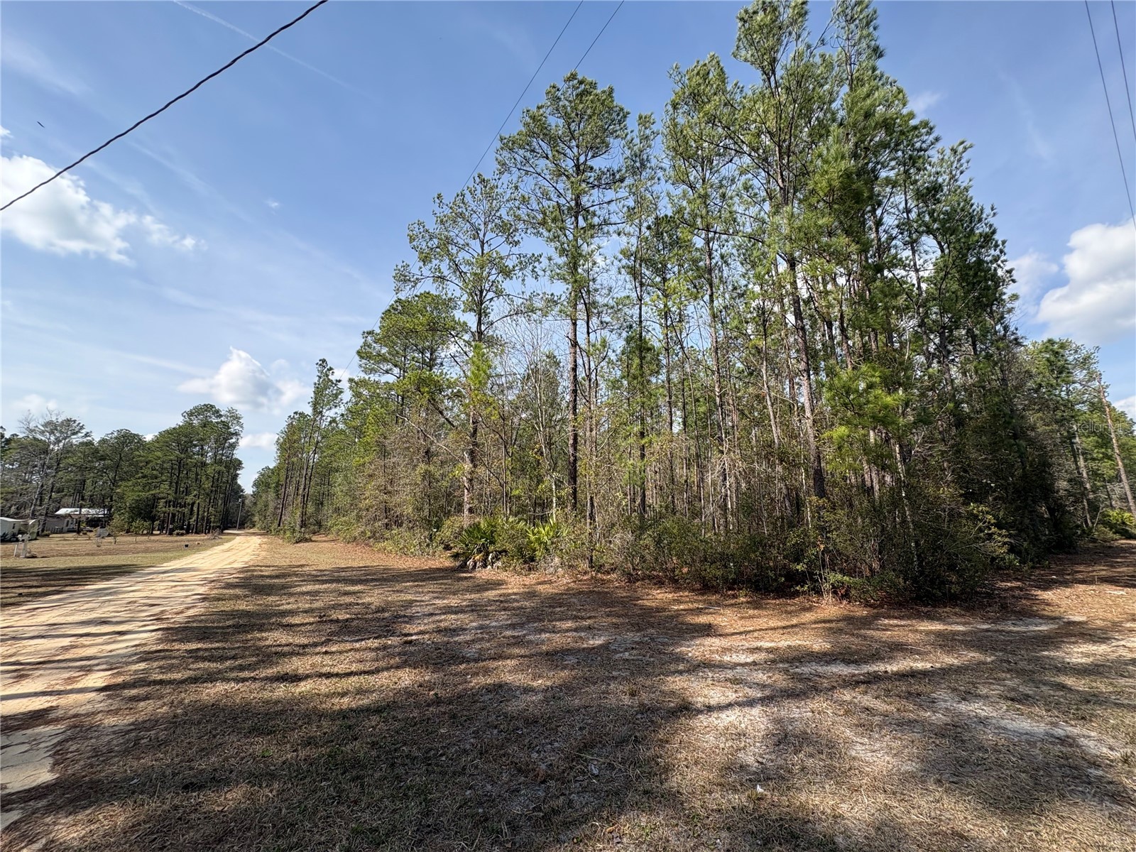 4385 Bondarenko Road Keystone Heights FL 32656 FC316379 image4