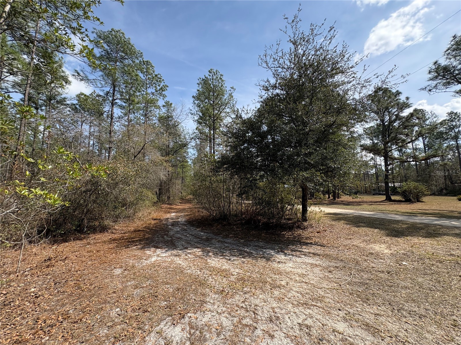 4385 Bondarenko Road Keystone Heights FL 32656 FC316379 image8