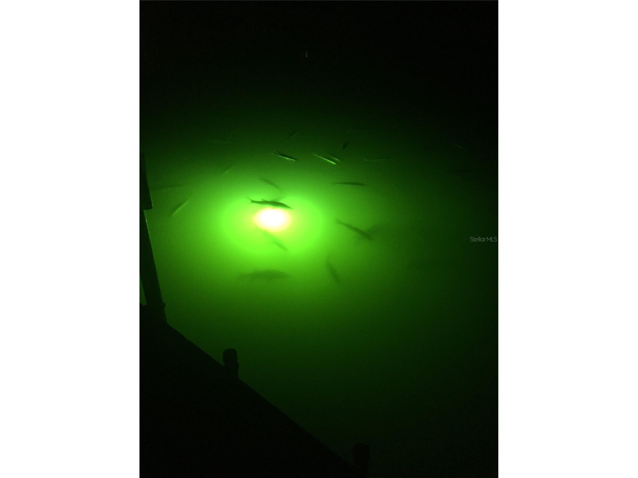 4385 Pompano Lane Palmetto FL 34221 A4657487 image20