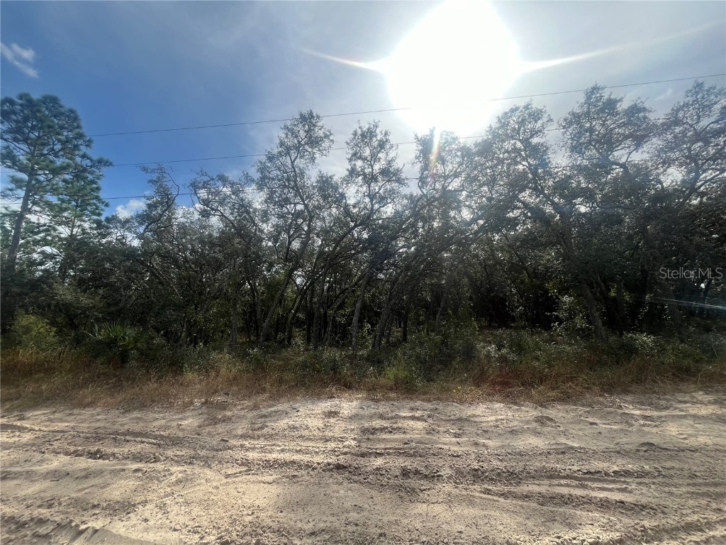 4386 W Roadrunner Court Homosassa FL 34446 OK224624 image1