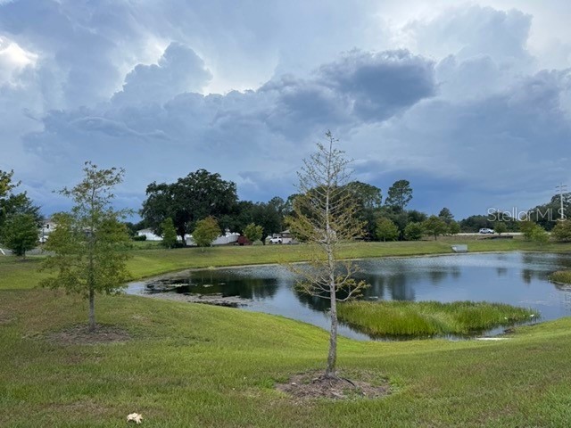 4387 Creek Cove Lane Kissimmee FL 34744 S5151891 image27