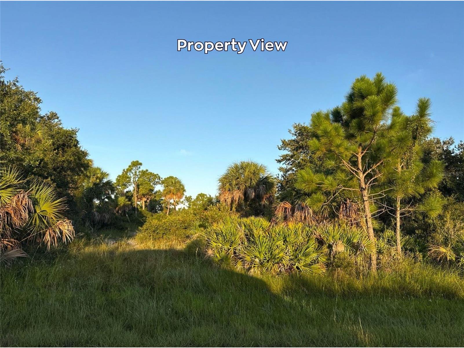 4387 Schneider Street Port Charlotte FL 33981 A4696160 image3