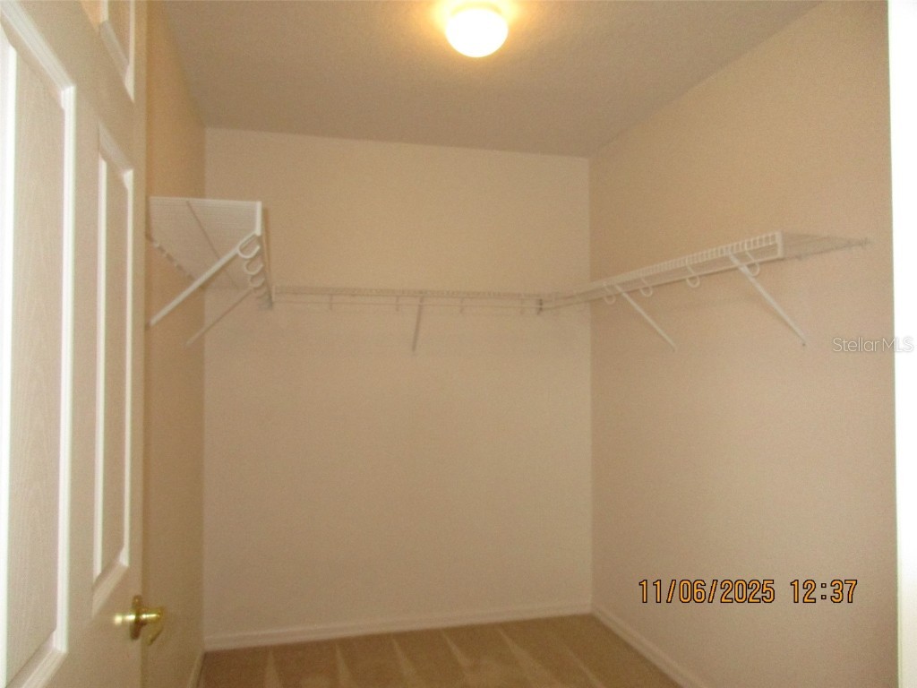 4388 Fawn Lily Way Kissimmee FL 34746 S5138116 image22