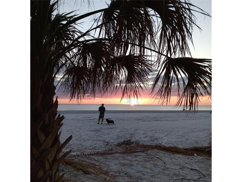 439 129th Avenue E Madeira Beach FL 33708 - JOHNS PASS INTRACOASTAL WATER TB8449117 image35