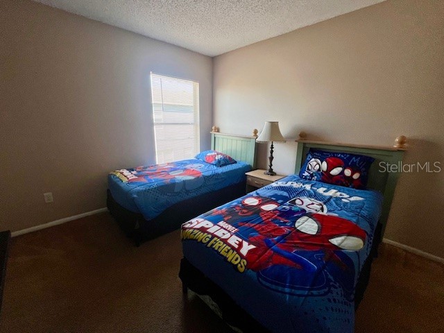 439 Bloomingdale Drive Davenport FL 33897 S5146013 image13