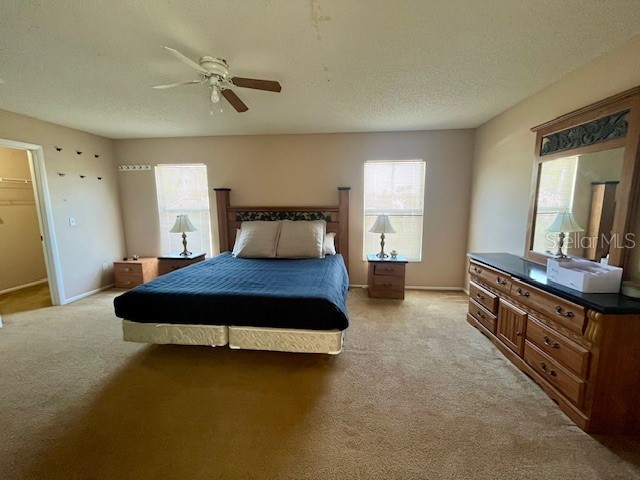 439 Bloomingdale Drive Davenport FL 33897 S5146013 image19