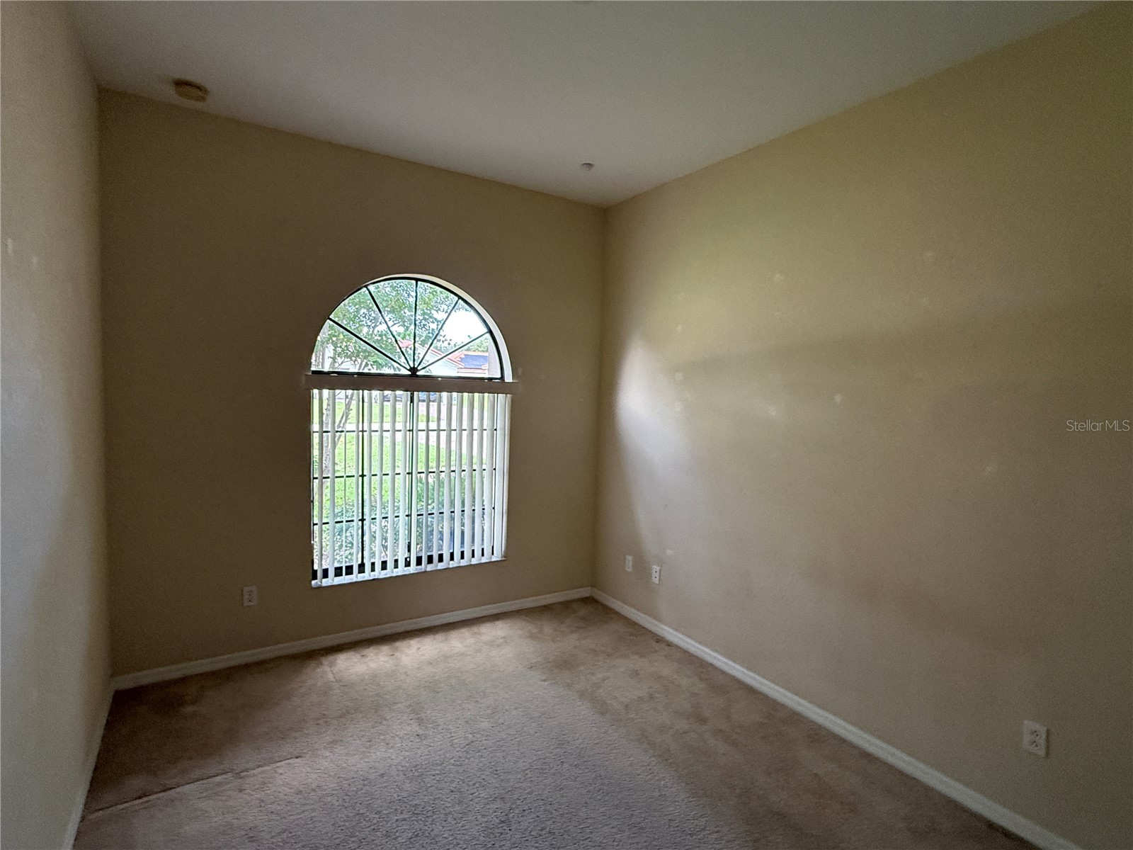 439 Caraway Drive Kissimmee FL 34759 O6417702 image5