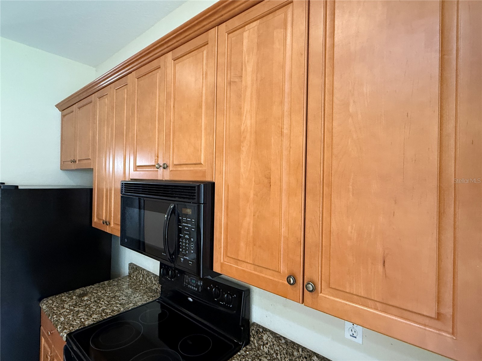 439 Caraway Drive Kissimmee FL 34759 O6417702 image9