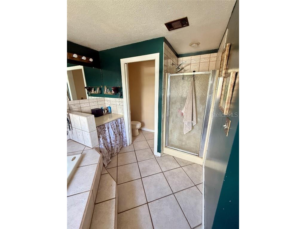 439 Corbett Road Lithia FL 33547 TB8388900 image20