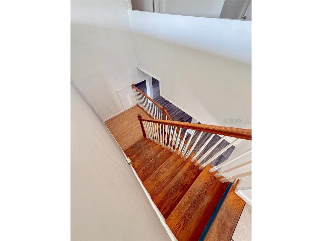 439 Corbett Road Lithia FL 33547 TB8388900 image24