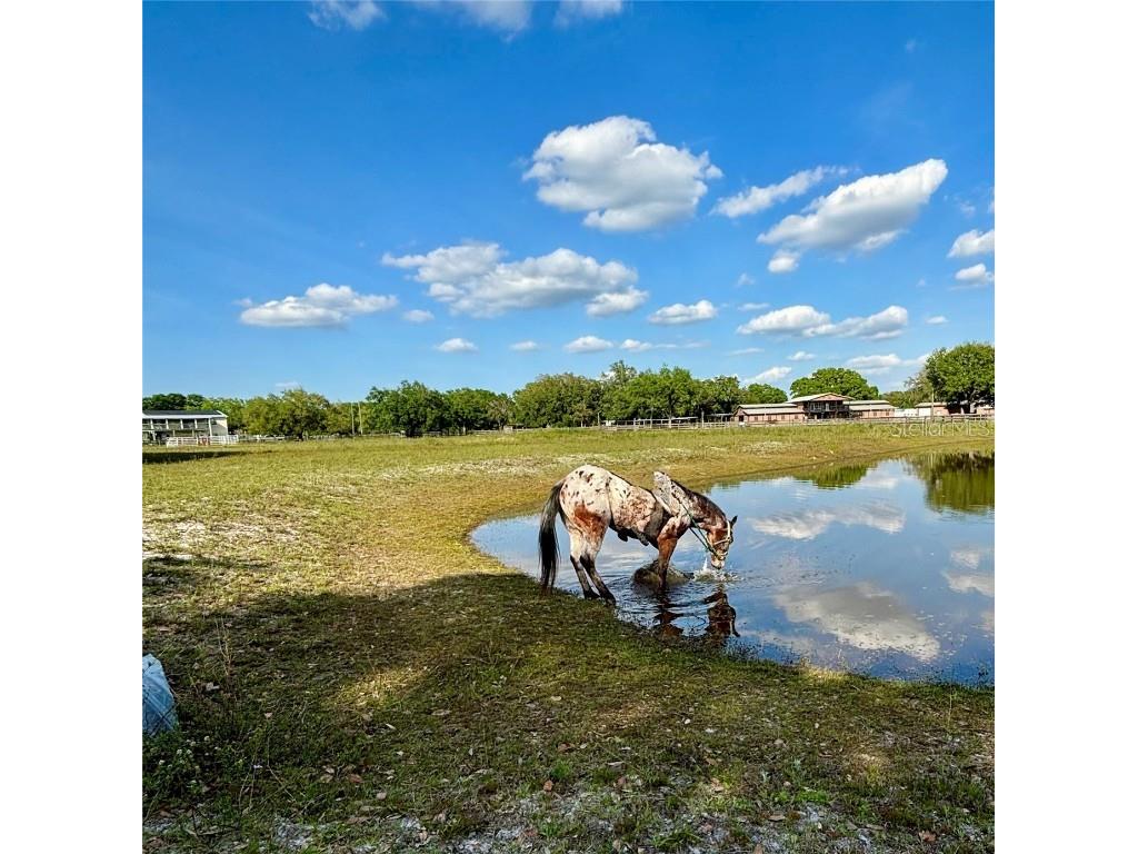 439 Corbett Road Lithia FL 33547 TB8388900 image25