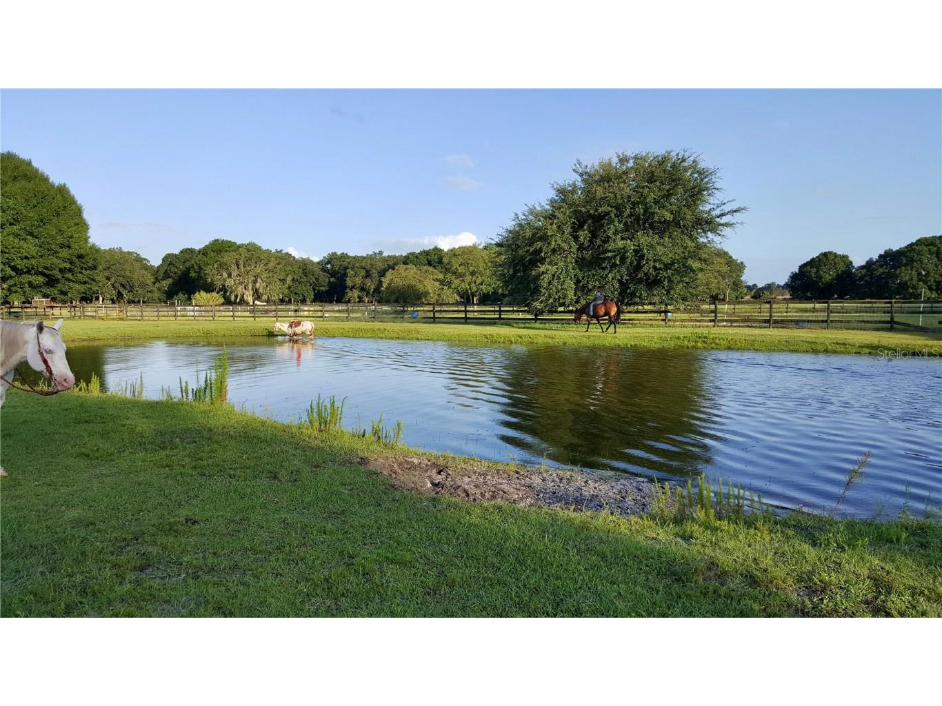 439 Corbett Road Lithia FL 33547 TB8388900 image26