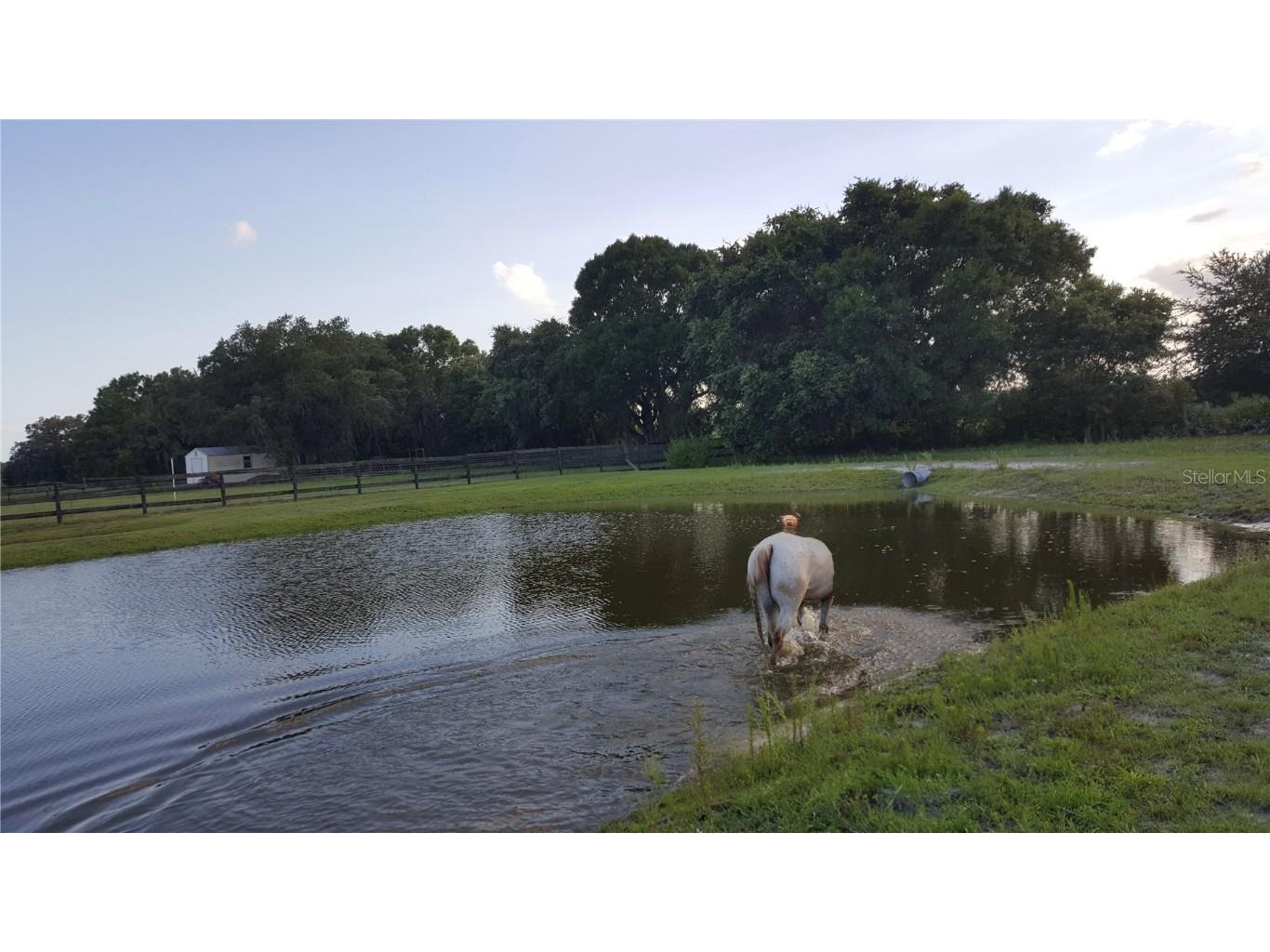 439 Corbett Road Lithia FL 33547 TB8388900 image27