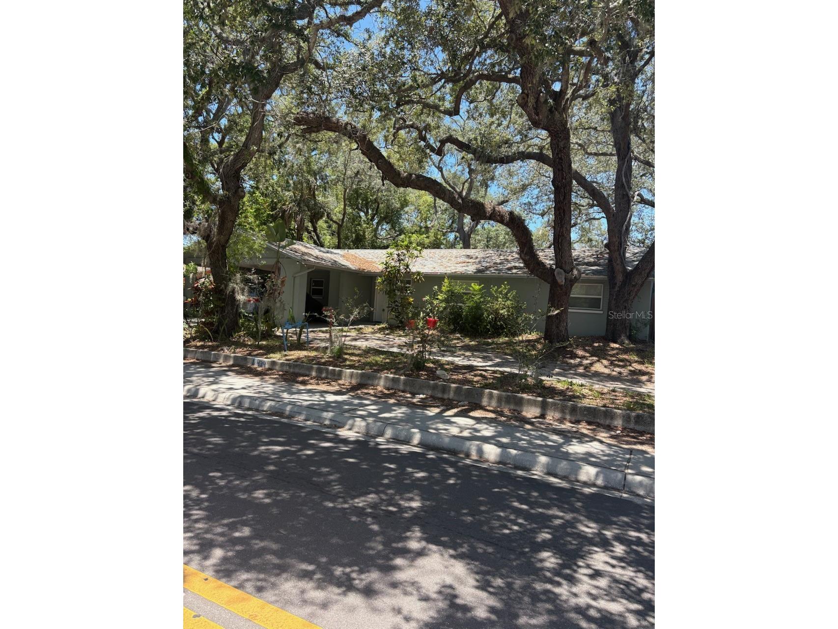 439 E Martin Luther King Jr Drive Tarpon Springs FL 34689 TB8516586 image3