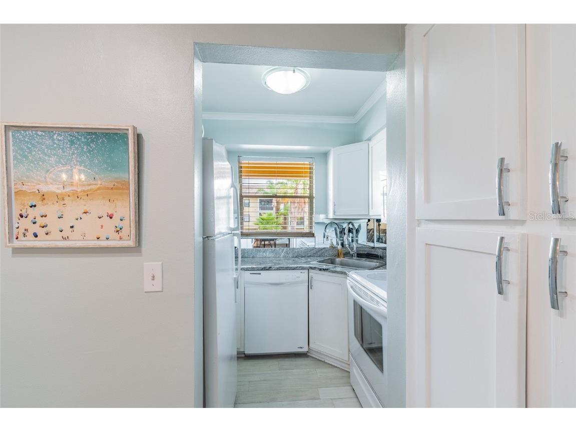 439 S Paula Drive #202 Dunedin FL 34698 TB8422357 image13