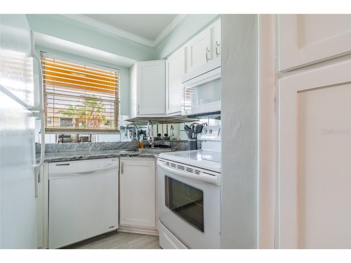 439 S Paula Drive #202 Dunedin FL 34698 TB8422357 image16