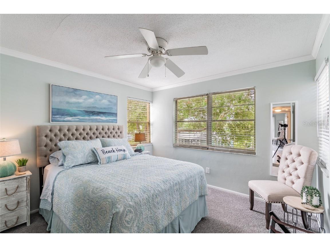 439 S Paula Drive #202 Dunedin FL 34698 TB8422357 image18