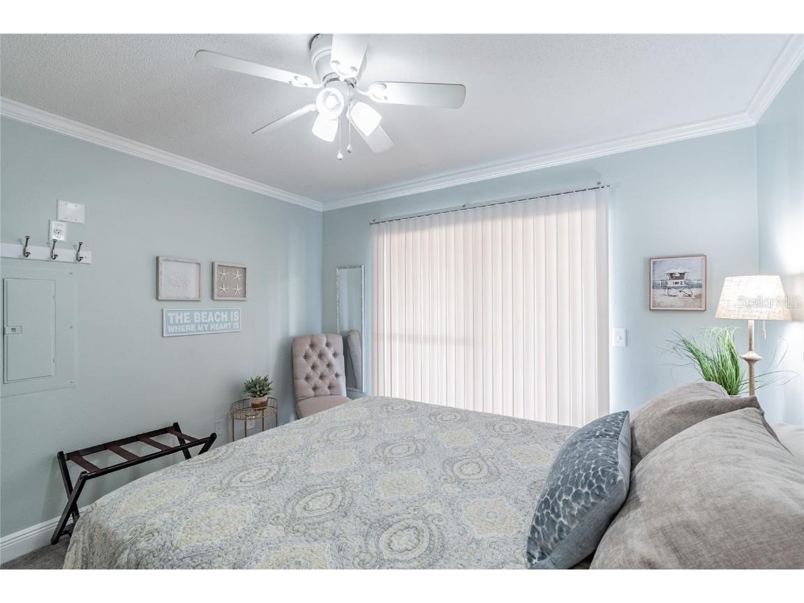 439 S Paula Drive #202 Dunedin FL 34698 TB8422357 image24