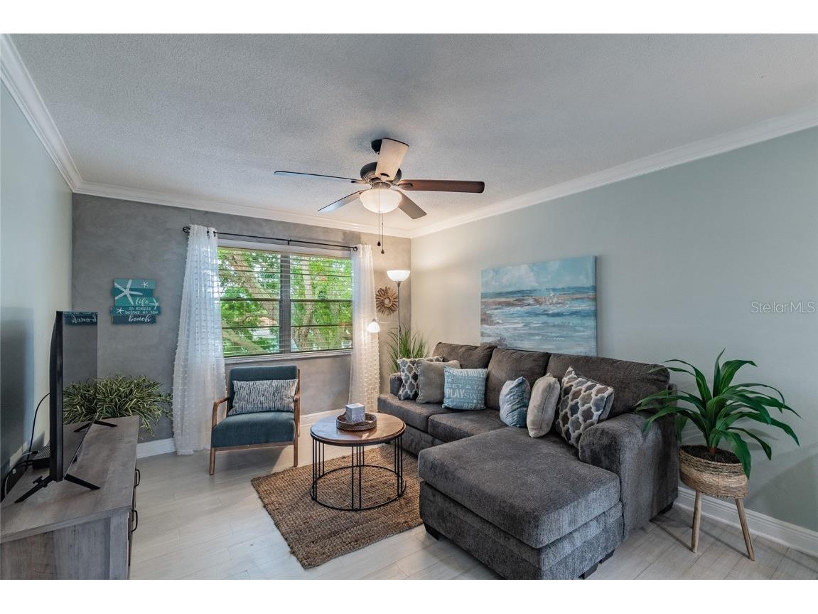 439 S Paula Drive #202 Dunedin FL 34698 TB8422357 image4