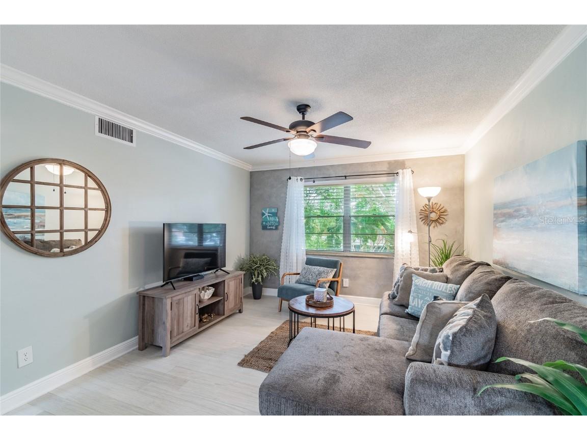 439 S Paula Drive #202 Dunedin FL 34698 TB8422357 image5